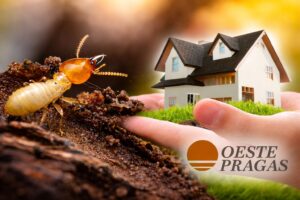 descupinizaçãoresidencia