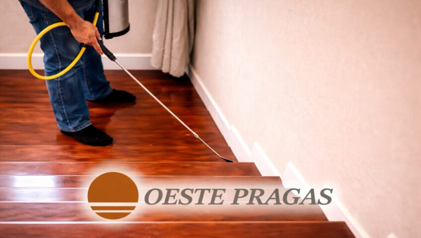 Descupinização de Apartamento