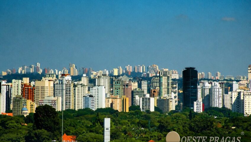 O que é descupinização na Zona oeste